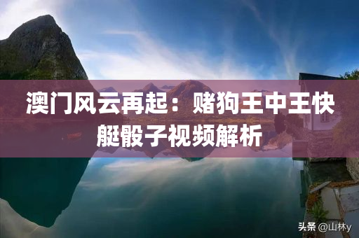 澳门风云再起：赌狗王中王快艇骰子视频解析