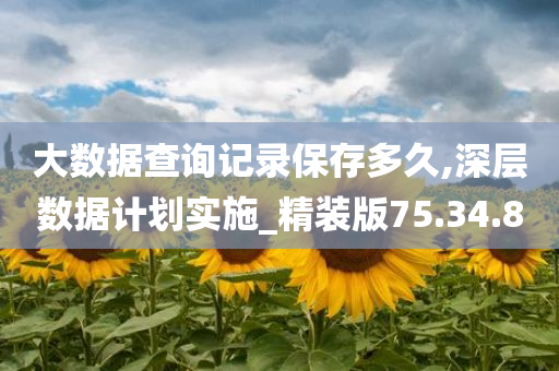 大数据查询记录保存多久,深层数据计划实施_精装版75.34.80