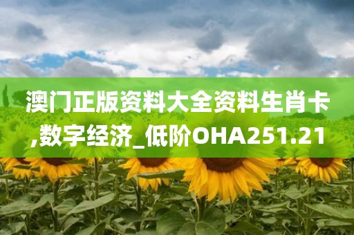 澳门正版资料大全资料生肖卡,数字经济_低阶OHA251.21