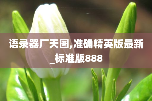 语录器厂天图,准确精英版最新_标准版888