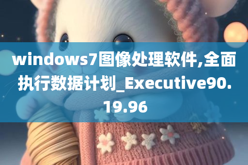 windows7图像处理软件,全面执行数据计划_Executive90.19.96