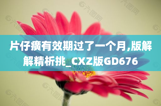 片仔癀有效期过了一个月,版解解精析挑_CXZ版GD676