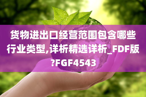 货物进出口经营范围包含哪些行业类型,详析精选详析_FDF版?FGF4543