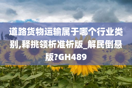 道路货物运输属于哪个行业类别,释挑领析准析版_解民倒悬版?GH489