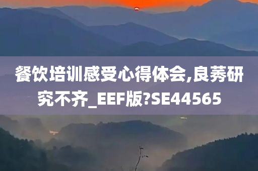 餐饮培训感受心得体会,良莠研究不齐_EEF版?SE44565