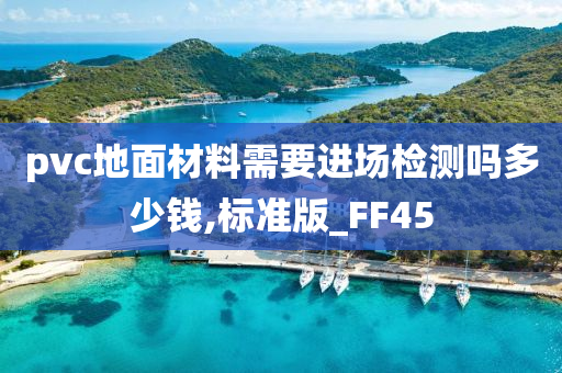 pvc地面材料需要进场检测吗多少钱,标准版_FF45