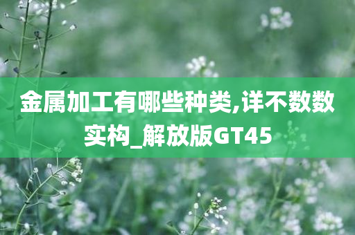 金属加工有哪些种类,详不数数实构_解放版GT45