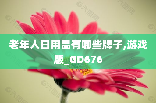 老年人日用品有哪些牌子,游戏版_GD676