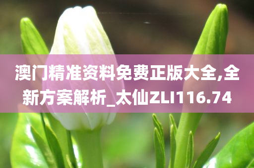 澳门精准资料免费正版大全,全新方案解析_太仙ZLI116.74