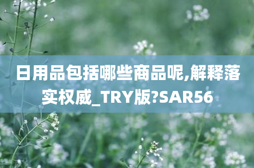 日用品包括哪些商品呢,解释落实权威_TRY版?SAR56