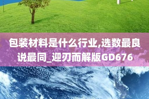 包装材料是什么行业,选数最良说最同_迎刃而解版GD676