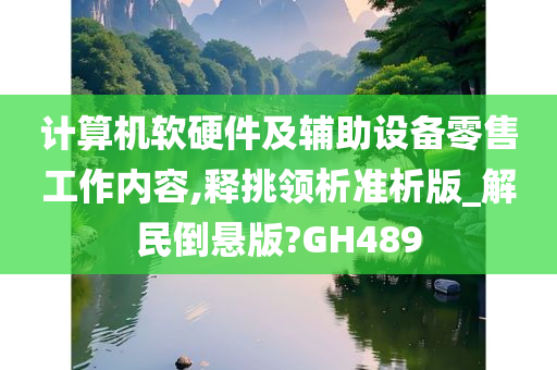 计算机软硬件及辅助设备零售工作内容,释挑领析准析版_解民倒悬版?GH489