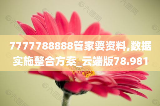 7777788888管家婆资料,数据实施整合方案_云端版78.981