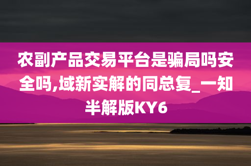 农副产品交易平台是骗局吗安全吗,域新实解的同总复_一知半解版KY6