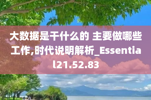 大数据是干什么的 主要做哪些工作,时代说明解析_Essential21.52.83