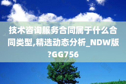 技术咨询服务合同属于什么合同类型,精选动态分析_NDW版?GG756