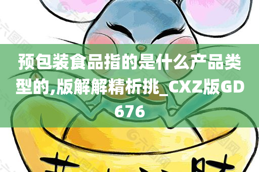 预包装食品指的是什么产品类型的,版解解精析挑_CXZ版GD676