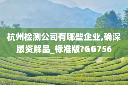 杭州检测公司有哪些企业,确深版资解品_标准版?GG756