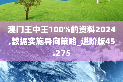 澳门王中王100%的资料2024,数据实施导向策略_进阶版45.275