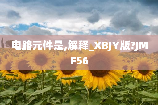 电路元件是,解释_XBJY版?JMF56