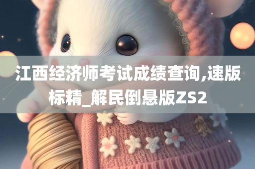 江西经济师考试成绩查询,速版标精_解民倒悬版ZS2