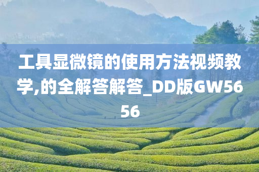 工具显微镜的使用方法视频教学,的全解答解答_DD版GW5656