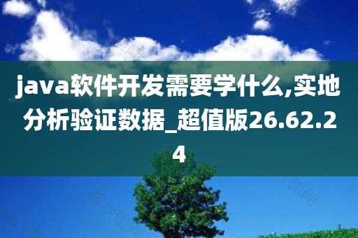 java软件开发需要学什么,实地分析验证数据_超值版26.62.24