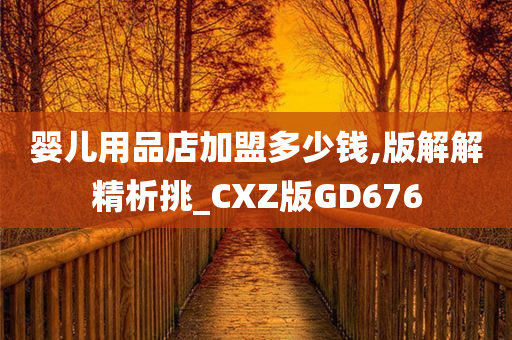 婴儿用品店加盟多少钱,版解解精析挑_CXZ版GD676