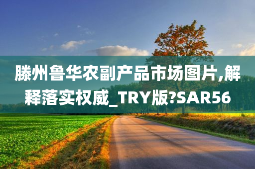 滕州鲁华农副产品市场图片,解释落实权威_TRY版?SAR56