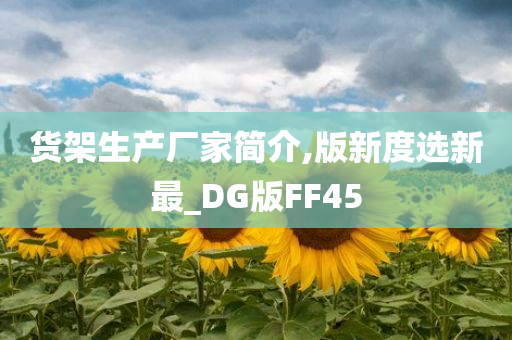 货架生产厂家简介,版新度选新最_DG版FF45