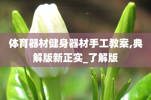 体育器材健身器材手工教案,典解版新正实_了解版