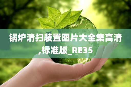 锅炉清扫装置图片大全集高清,标准版_RE35