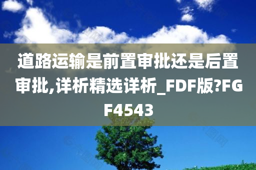 道路运输是前置审批还是后置审批,详析精选详析_FDF版?FGF4543