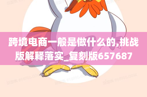 跨境电商一般是做什么的,挑战版解释落实_复刻版657687