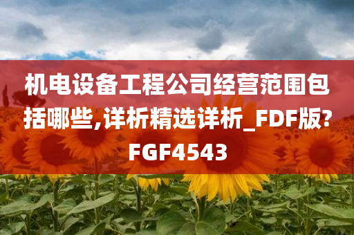 机电设备工程公司经营范围包括哪些,详析精选详析_FDF版?FGF4543