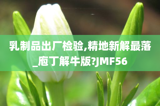 乳制品出厂检验,精地新解最落_庖丁解牛版?JMF56