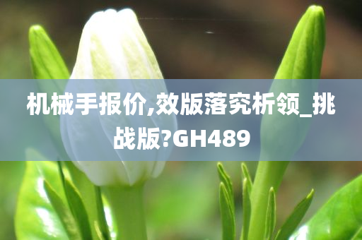 机械手报价,效版落究析领_挑战版?GH489