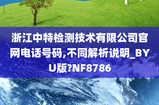 浙江中特检测技术有限公司官网电话号码,不同解析说明_BYU版?NF8786