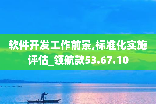 软件开发工作前景,标准化实施评估_领航款53.67.10