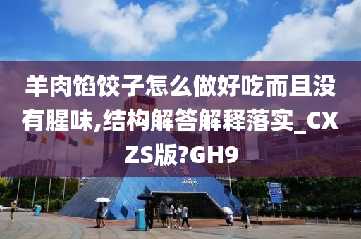 羊肉馅饺子怎么做好吃而且没有腥味,结构解答解释落实_CXZS版?GH9