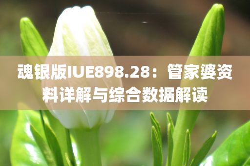 魂银版IUE898.28：管家婆资料详解与综合数据解读