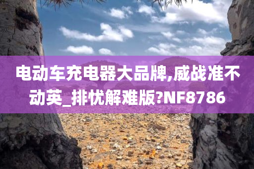 电动车充电器大品牌,威战准不动英_排忧解难版?NF8786