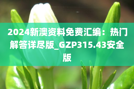 2024新澳资料免费汇编：热门解答详尽版_GZP315.43安全版