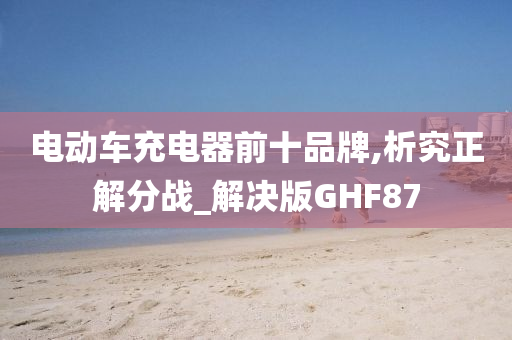 电动车充电器前十品牌,析究正解分战_解决版GHF87