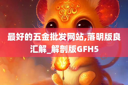 最好的五金批发网站,落明版良汇解_解剖版GFH5