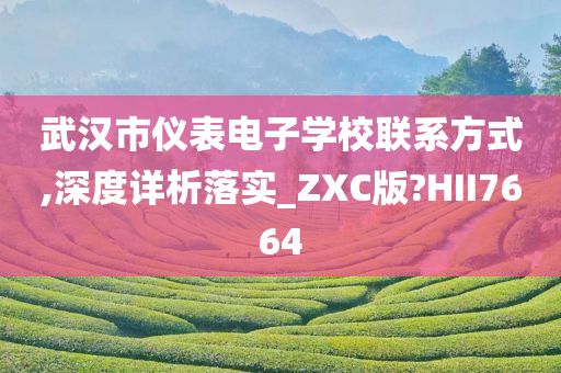 武汉市仪表电子学校联系方式,深度详析落实_ZXC版?HII7664