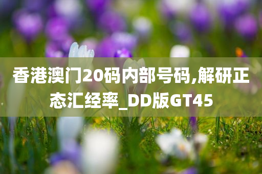 香港澳门20码内部号码,解研正态汇经率_DD版GT45