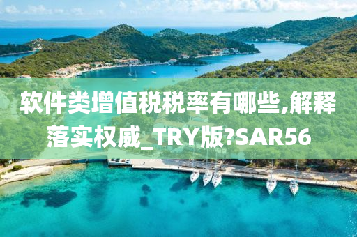 软件类增值税税率有哪些,解释落实权威_TRY版?SAR56