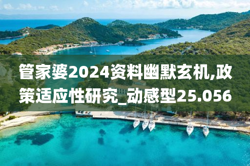 管家婆2024资料幽默玄机,政策适应性研究_动感型25.056