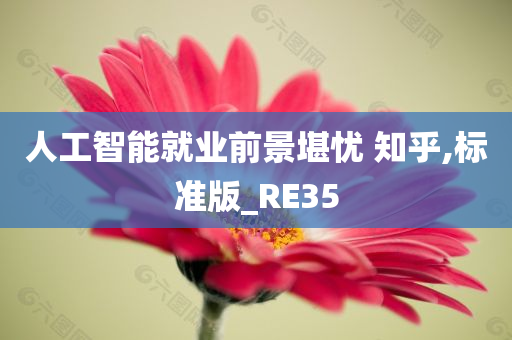 人工智能就业前景堪忧 知乎,标准版_RE35